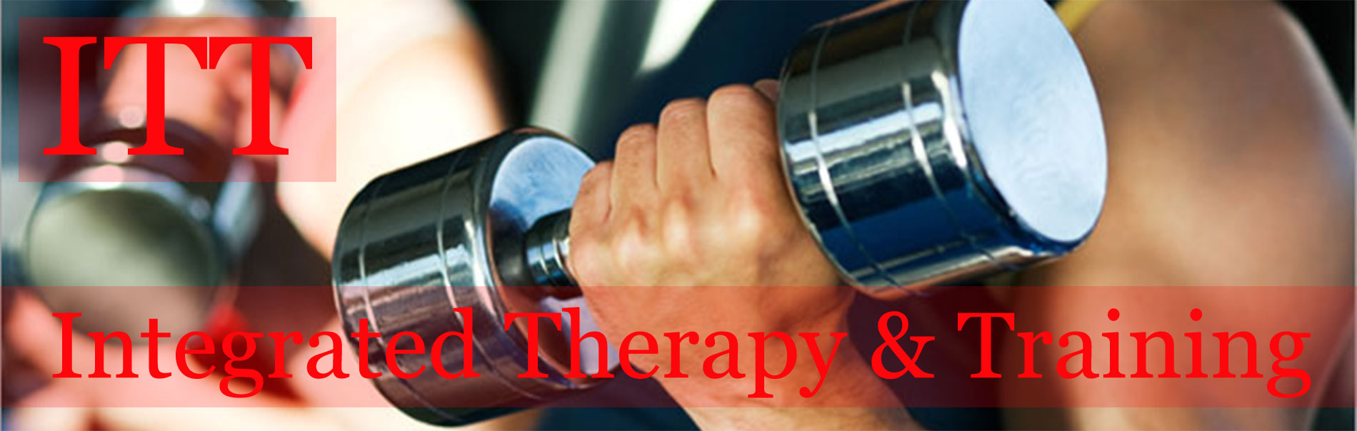 Integrated Therapy & Training Developed by Dr. Sender Deutsch